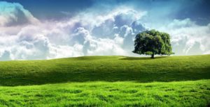 ISO14001-Environmental Management System